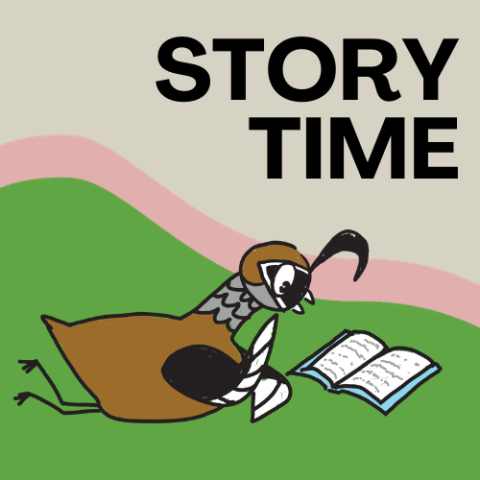 Cartoon quail reading a book