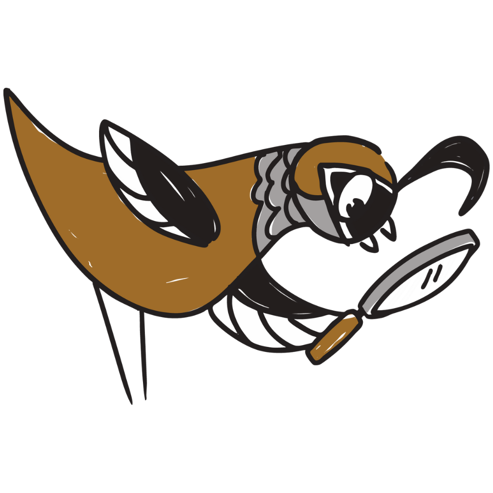 Cartoon quail bent over and looking at the ground through a magnifying glass