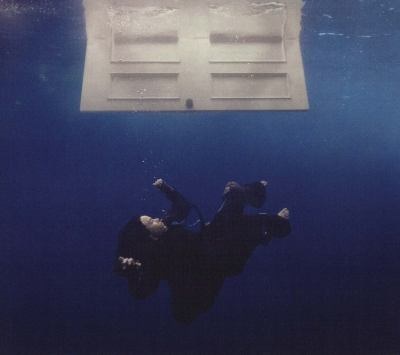 Hit Me Hard and Soft Album Cover