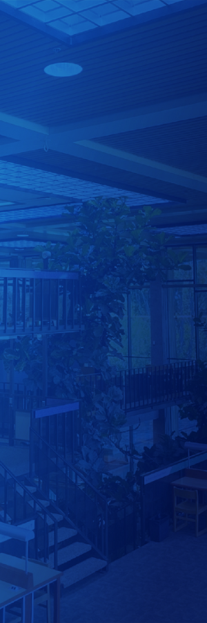 image of Central library adult stacks colored in a blue gradient