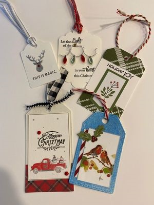 Māori Woman in Meeting
