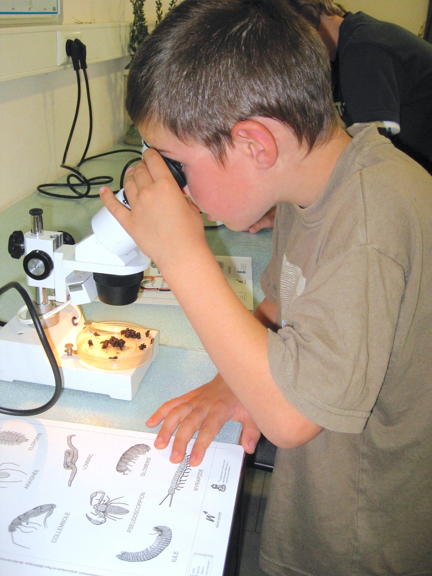 kids using a microscope kids using a microscope