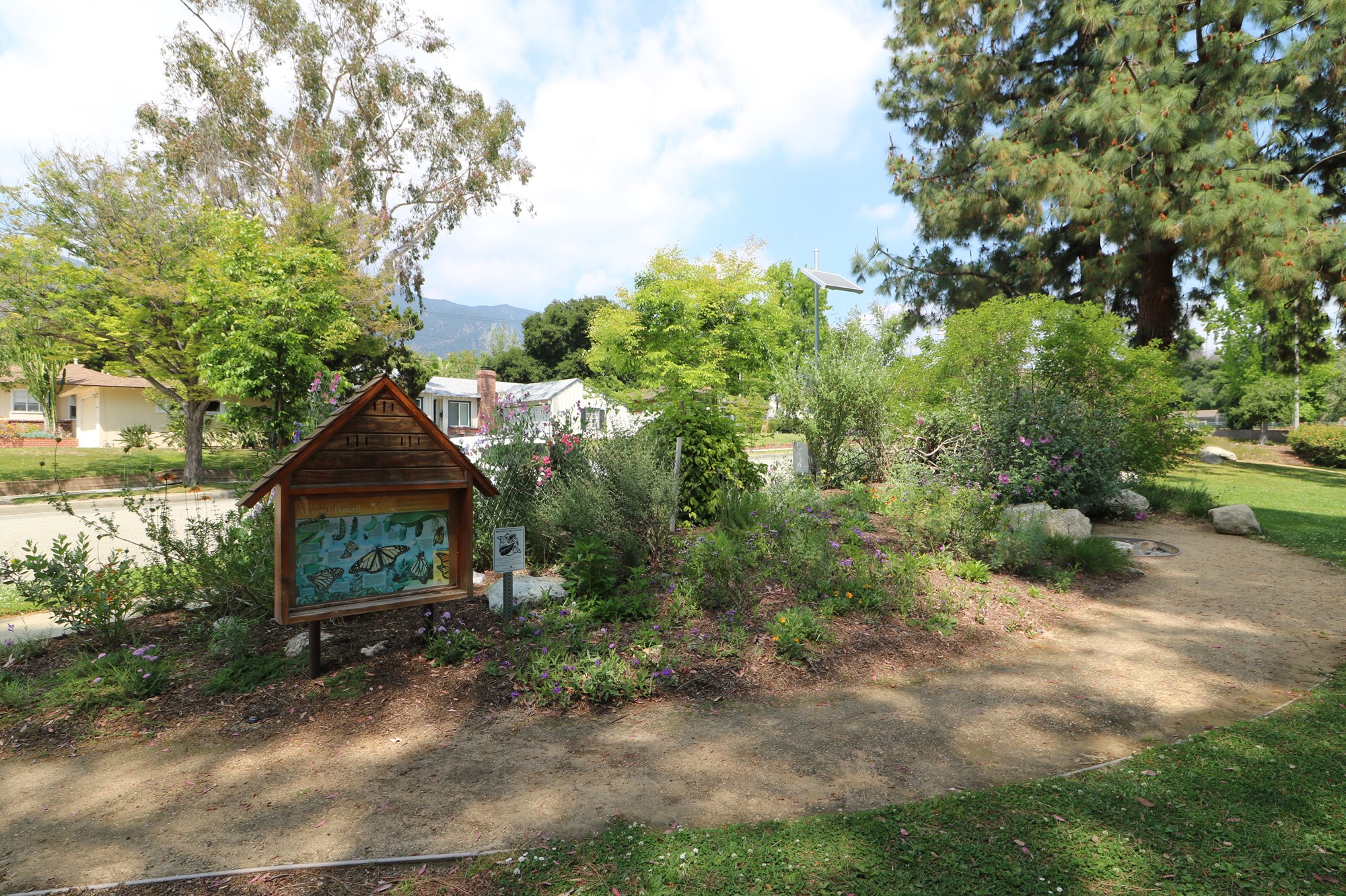 Hastings Branch butterfly garden Hastings Branch butterfly garden