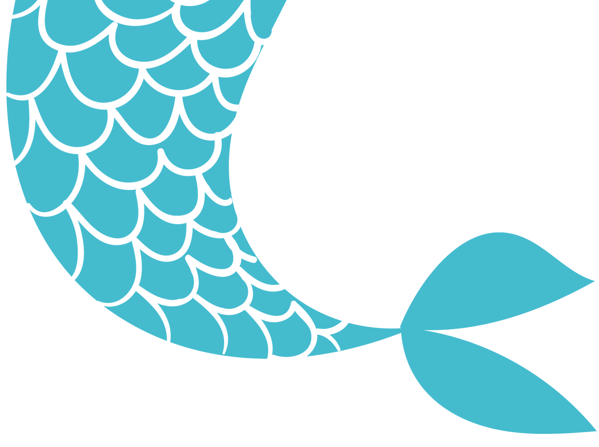 mermaid tail mermaid tail