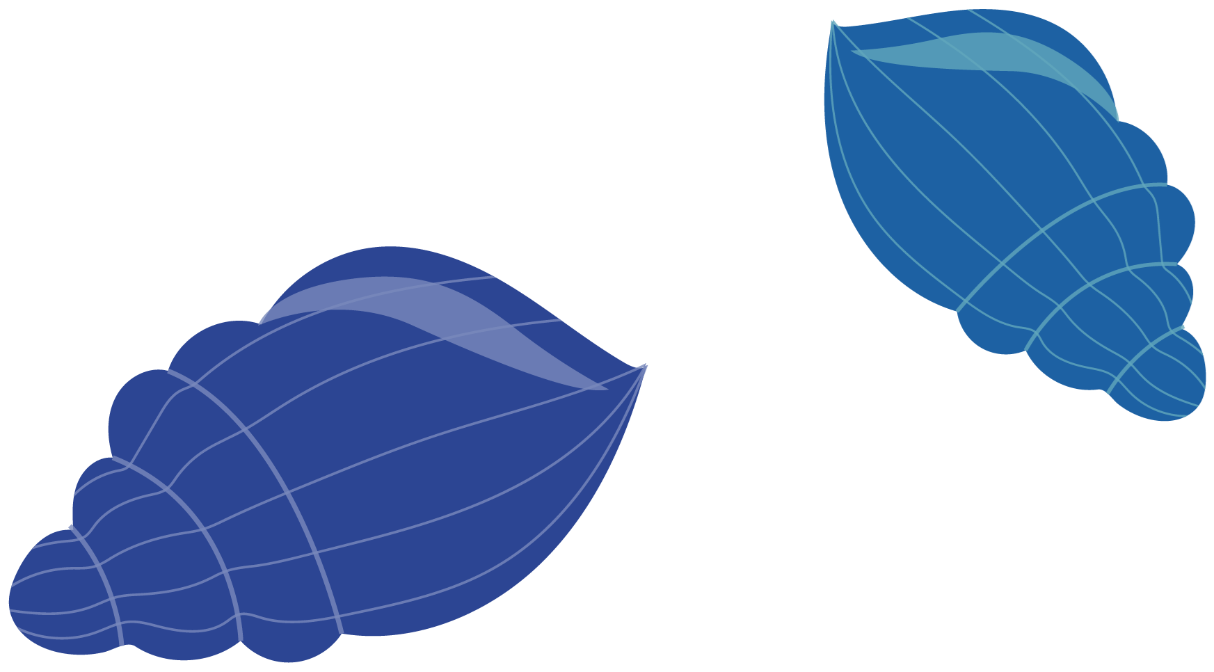 Icons - Seashells - Blue