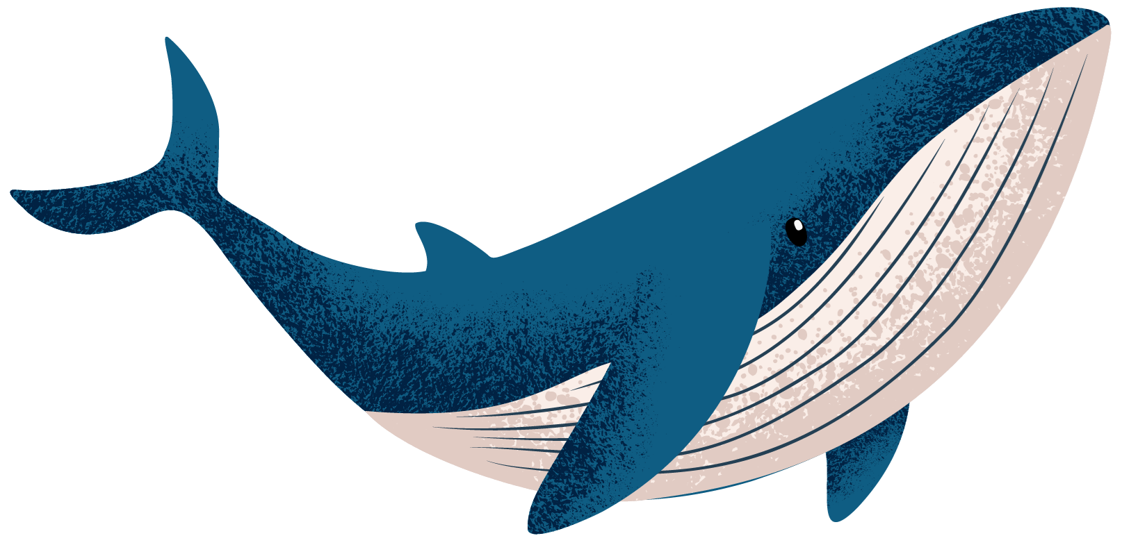Icons - Whale - Blue