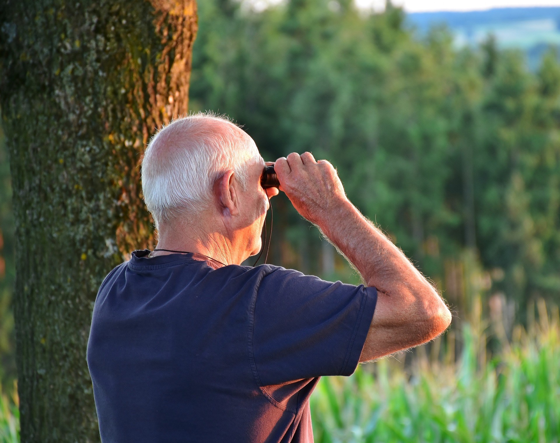 Seniors man male outdoors elderly retired nature sightseeing binoculars bird watching
