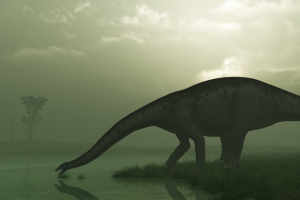 Dinosaur drinking water.