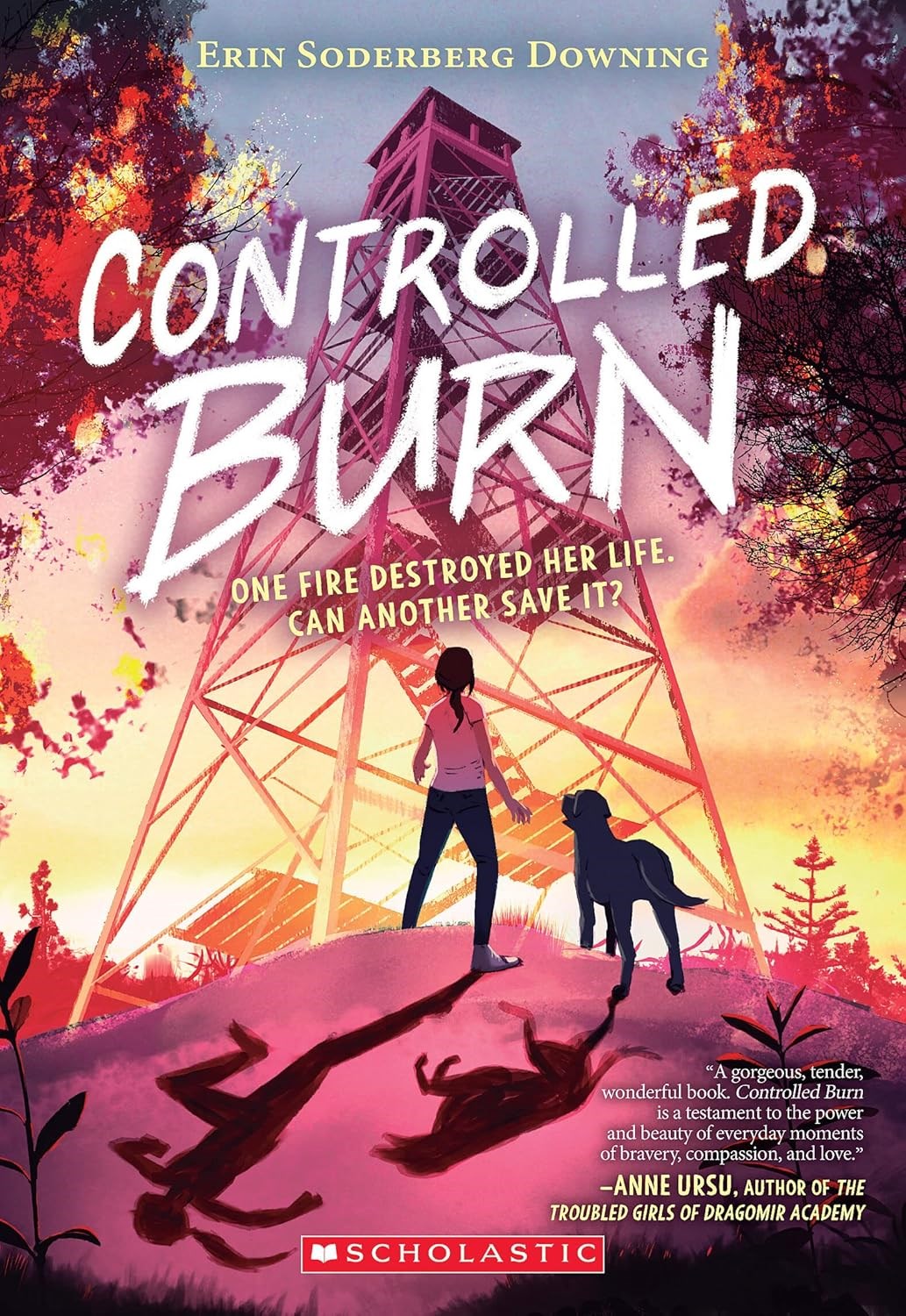 Controlled Burn by Erin Soderberg Downing