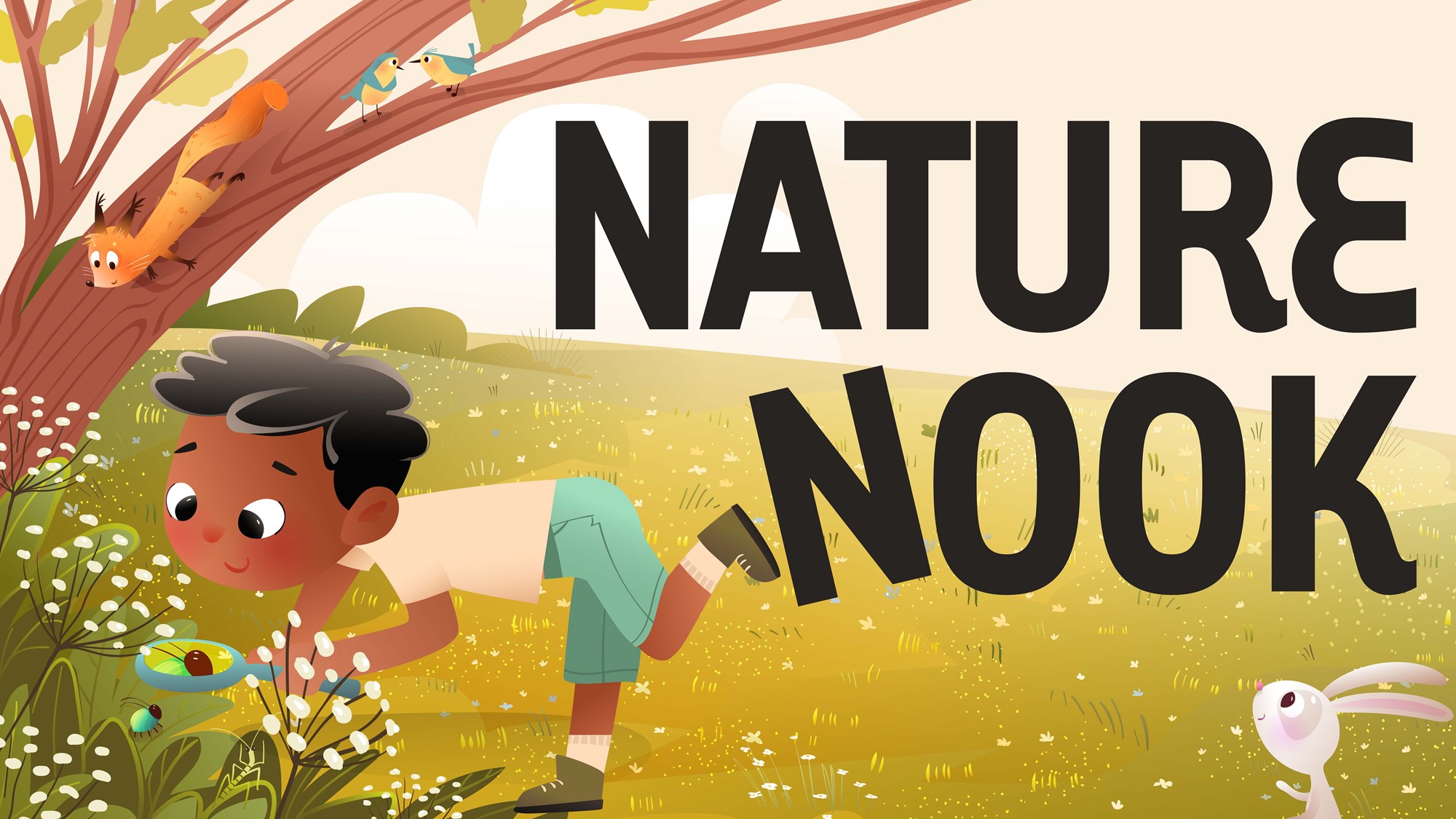 Nature Nook