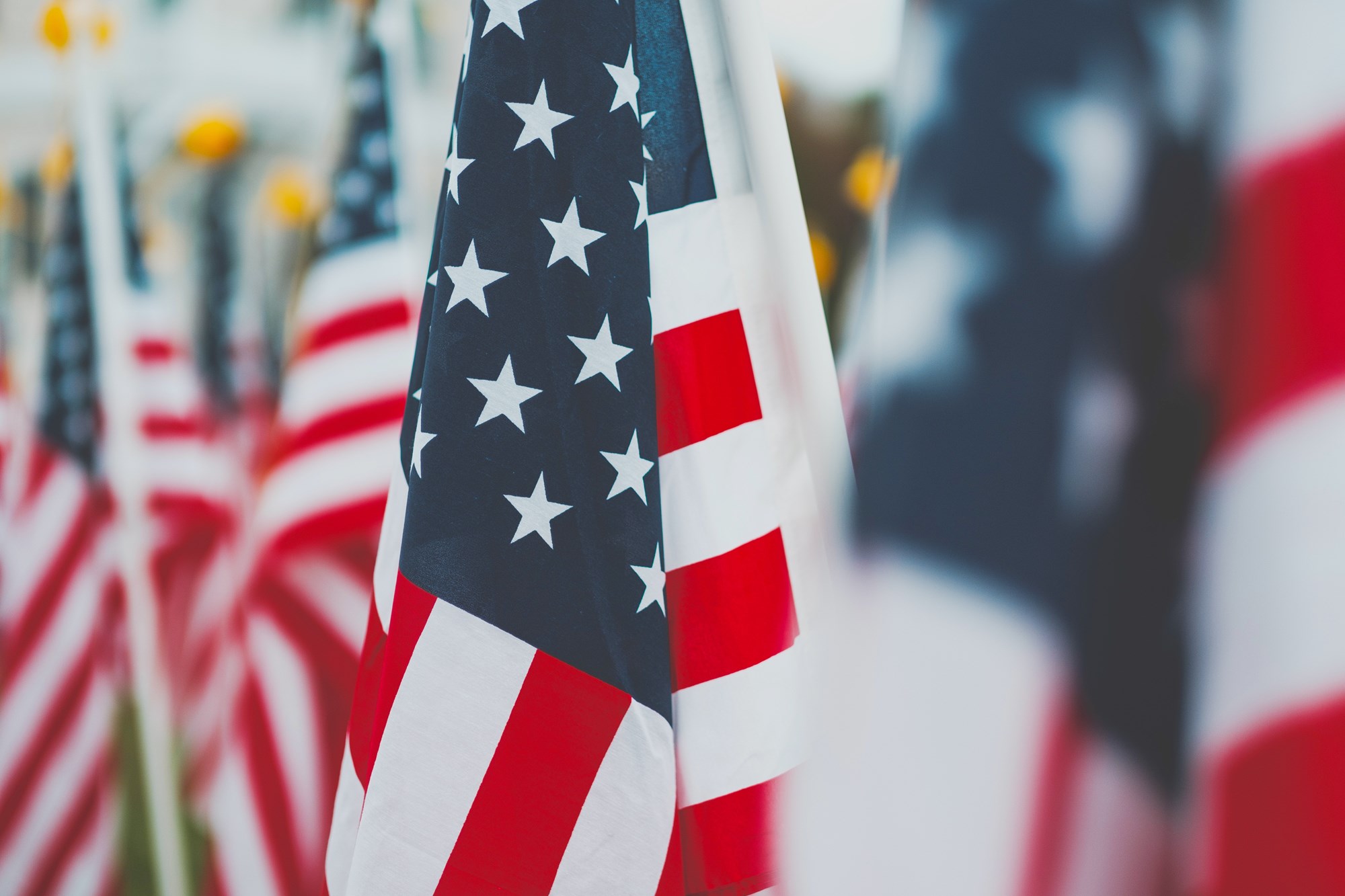 unsplash - american flags memorial usa patriotic fourth july veterans.jpg