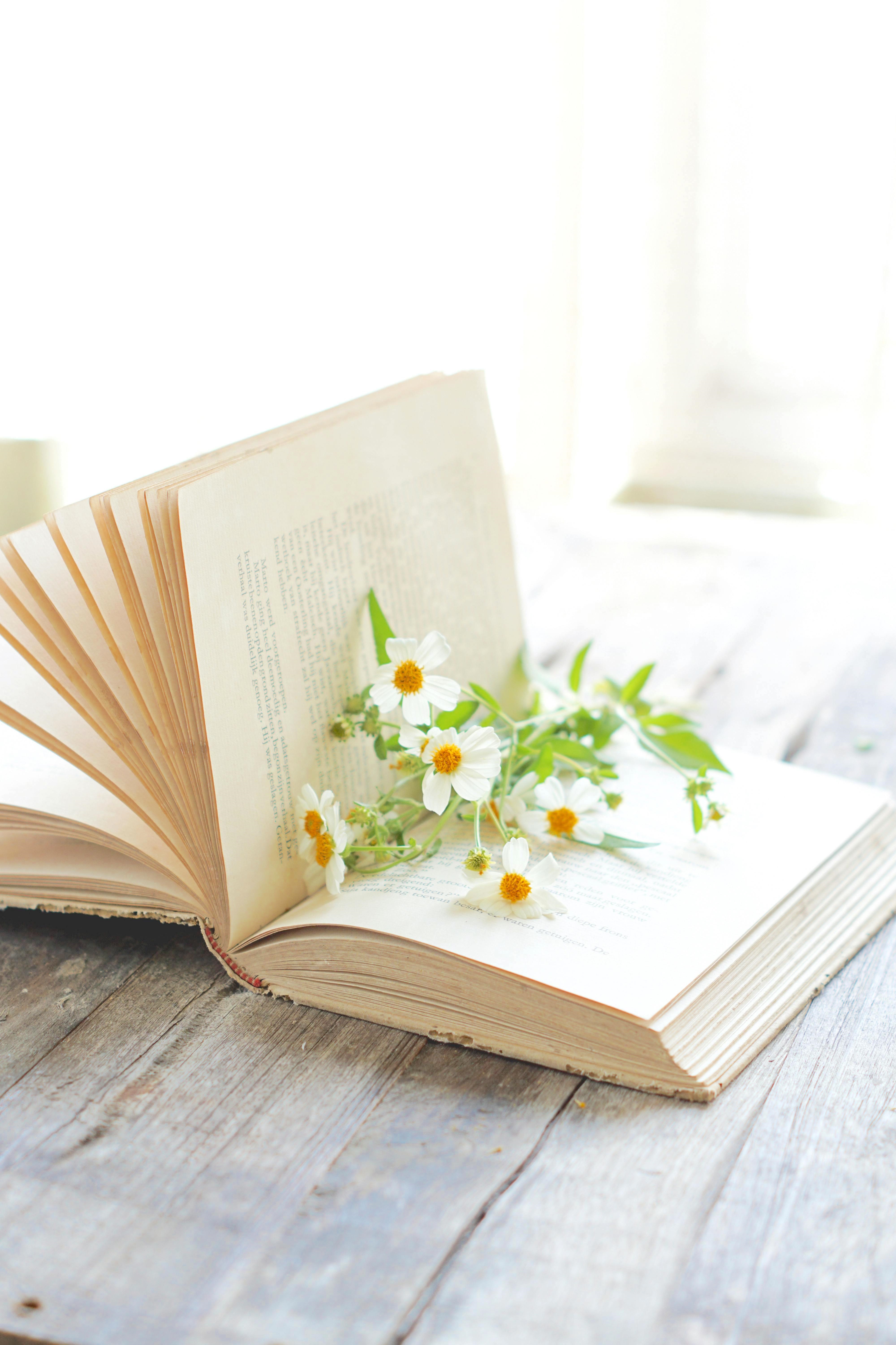 Open Book with White Flowers Sitting on the Pages on Wood Table