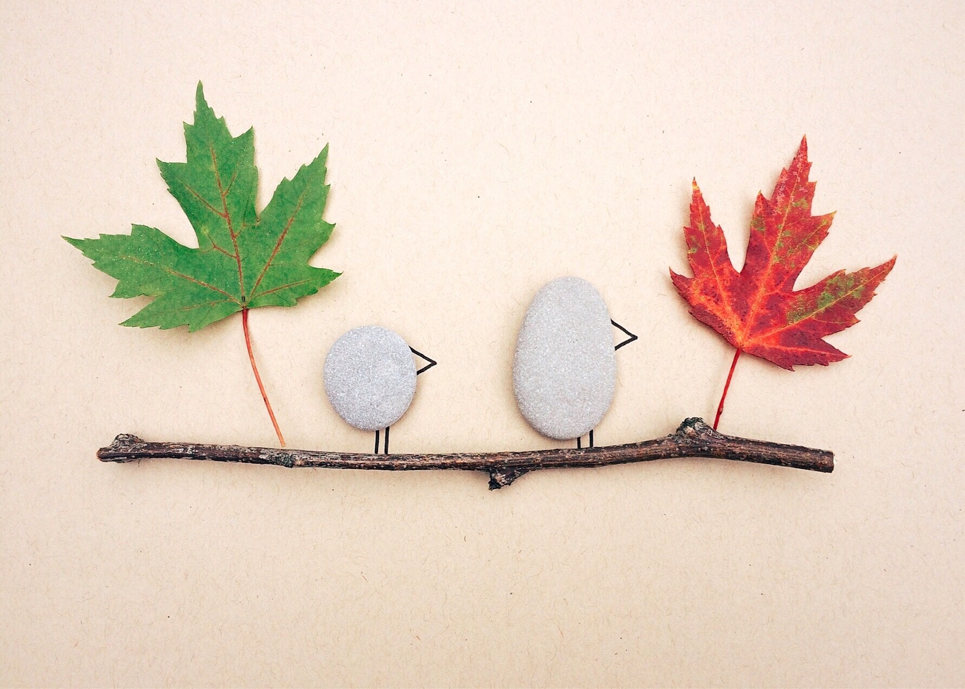 Fall Scene with Rocks and Leaves