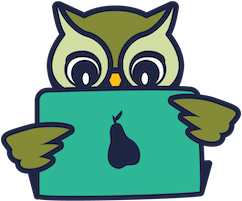 Dale, a green cartoon owl, using a laptop computer.