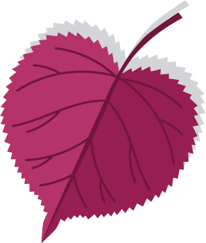 Purple Leaf with Shadow