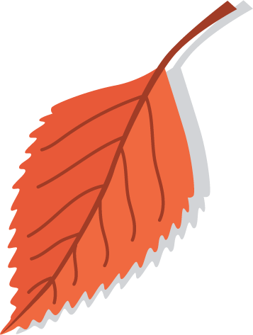 Orange Leaf with Shadow