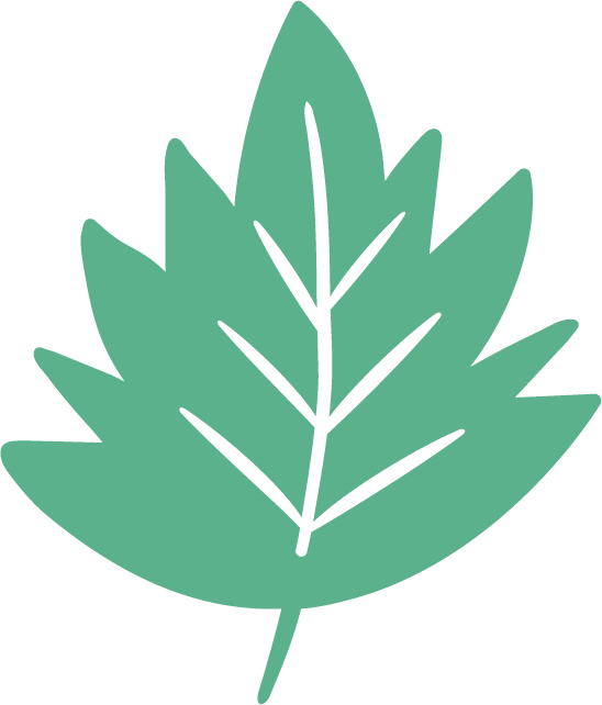 Icons - Leaf - Green