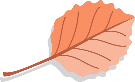 Pink Leaf with Shadow