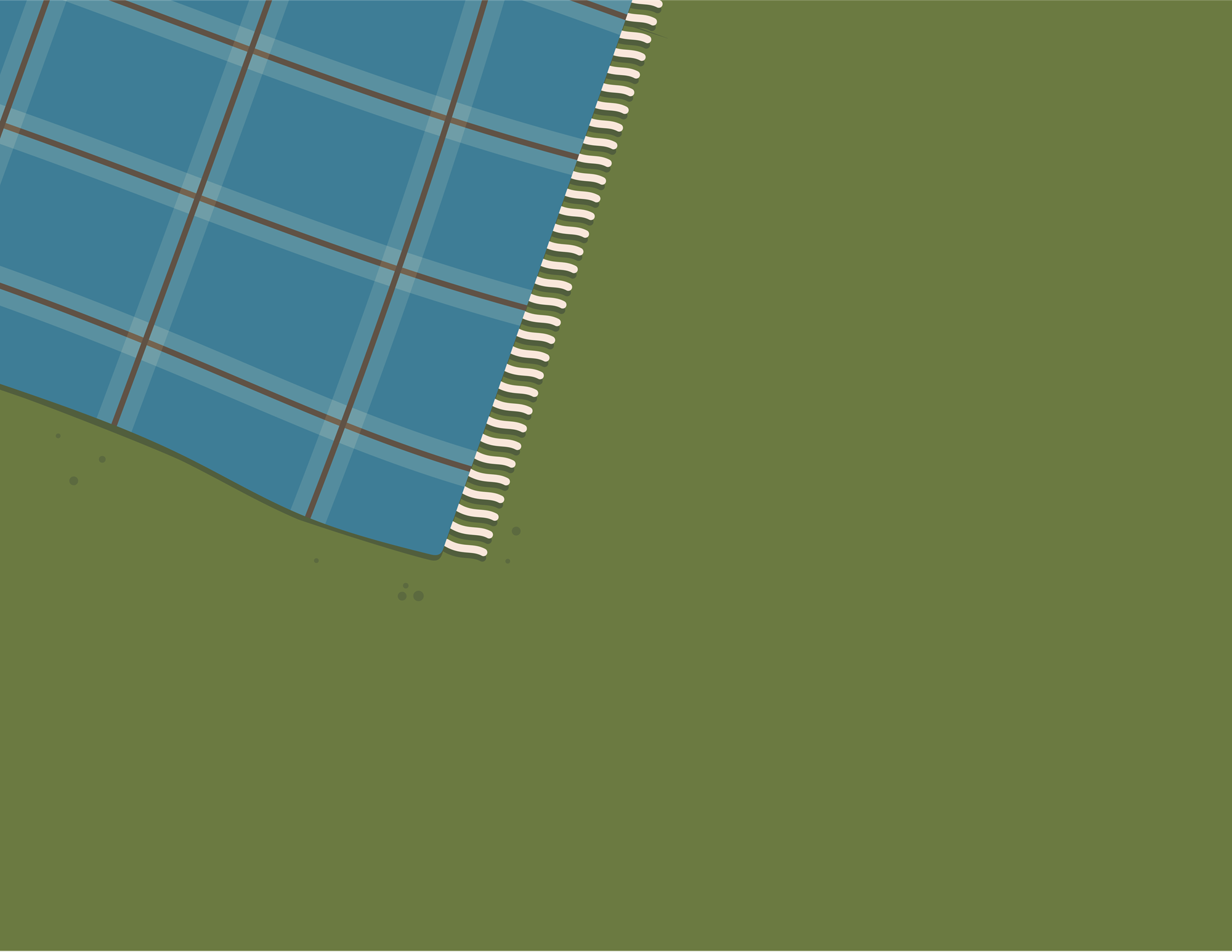 Picnic Blanket on Grass