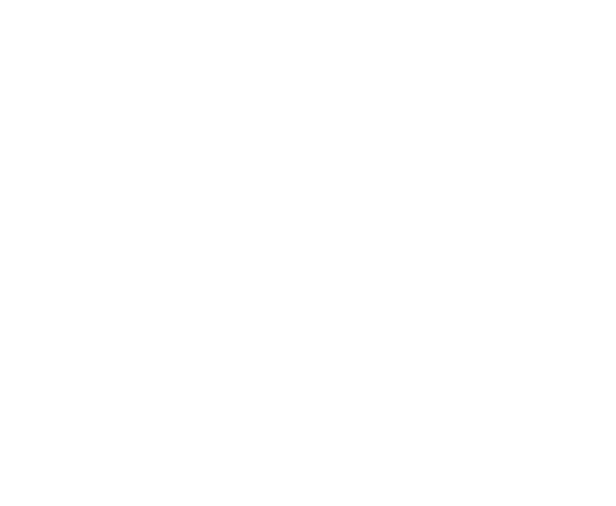 Background - Topographic Map - White