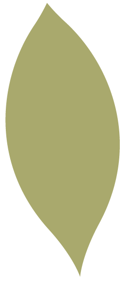 Icons - Simple Leaf Shape - Green