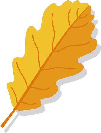Big Yellow Leaf with Shadow