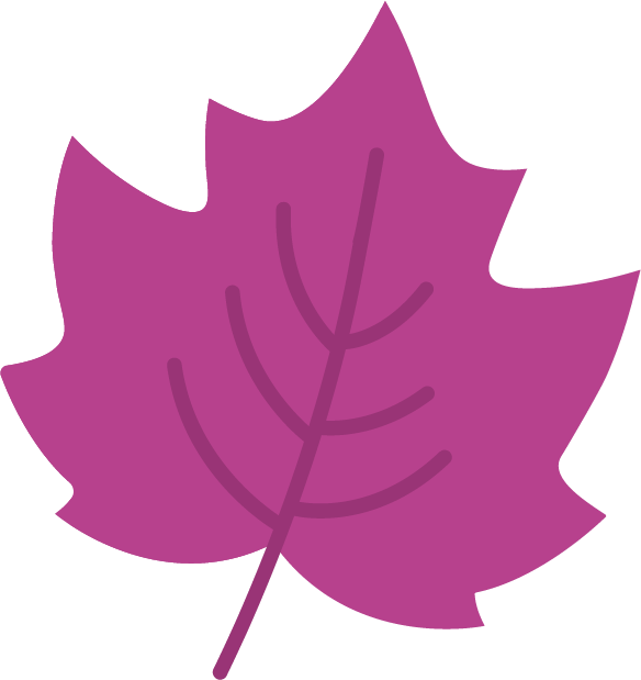 Icons - Single Maple Leaf - Dark Pink