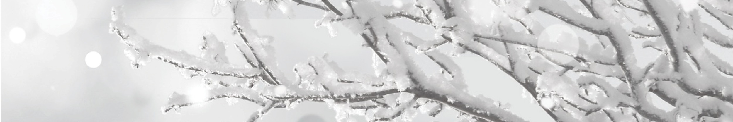 E-Blast Header - Ice Covered Branches