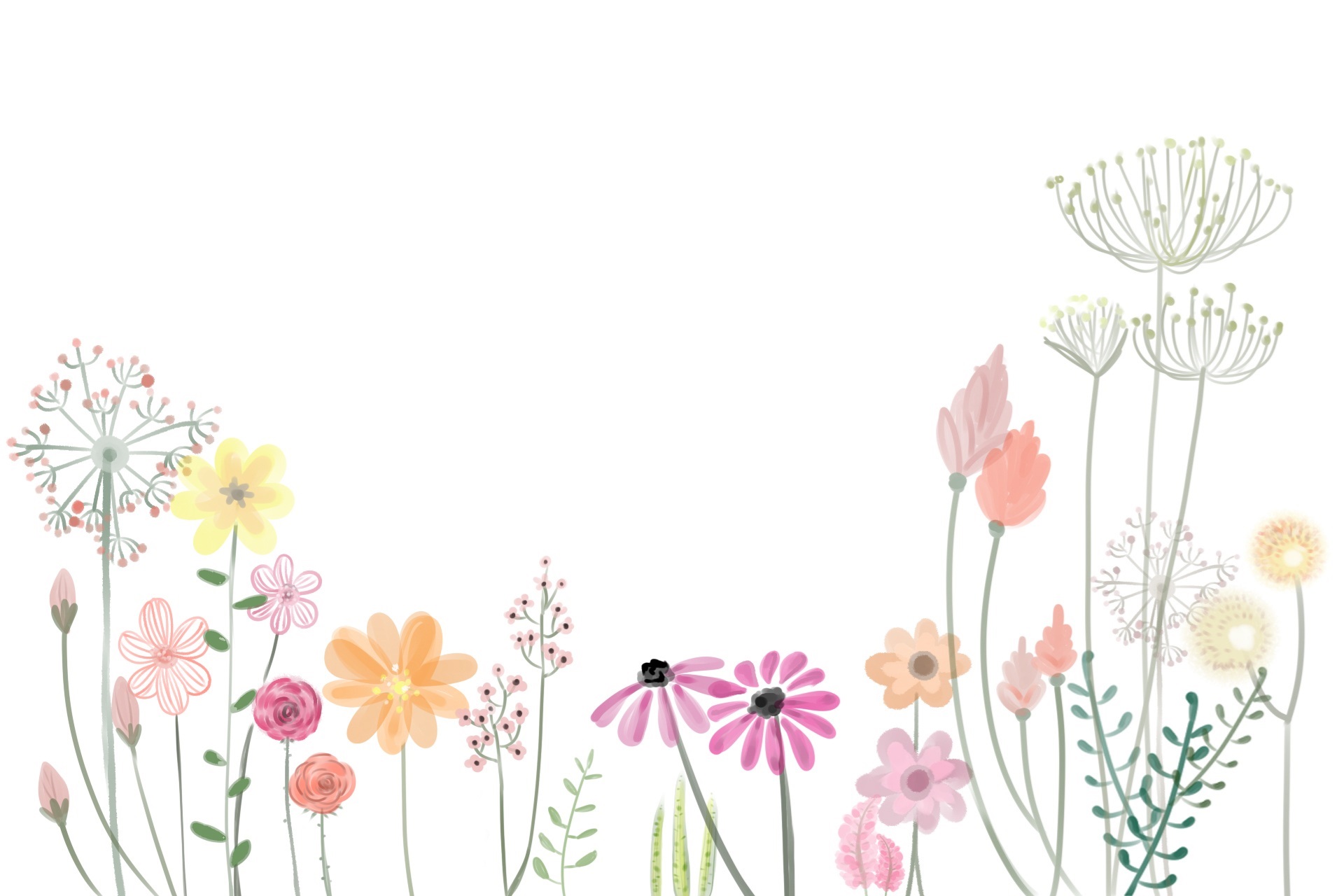 Spring flowers wild handdrawn backgrounds white blank painted