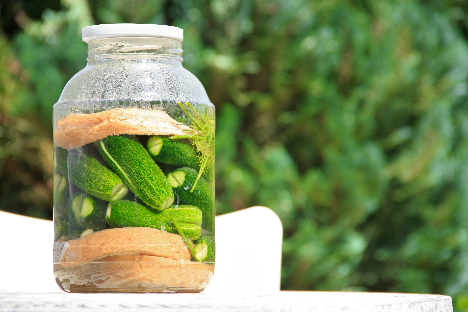 Jarring canning pickles pickling preserving cucumbers vegetables