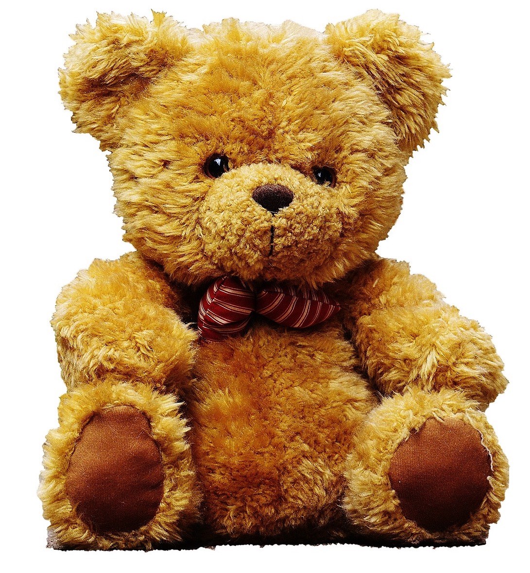 Kids children toddlers teddy bear dolls toys bedtime nighttime