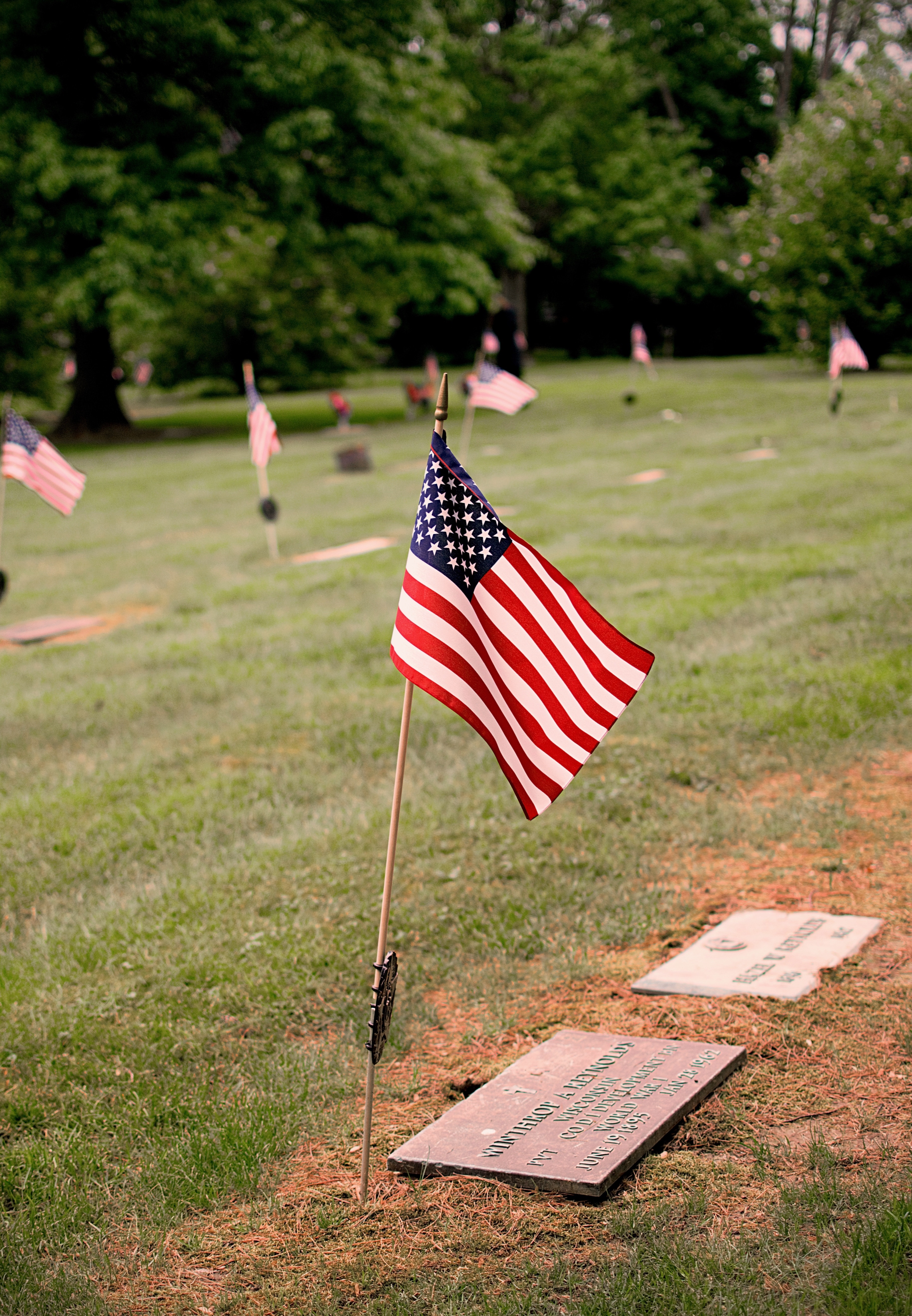 American Flags at a Memorial