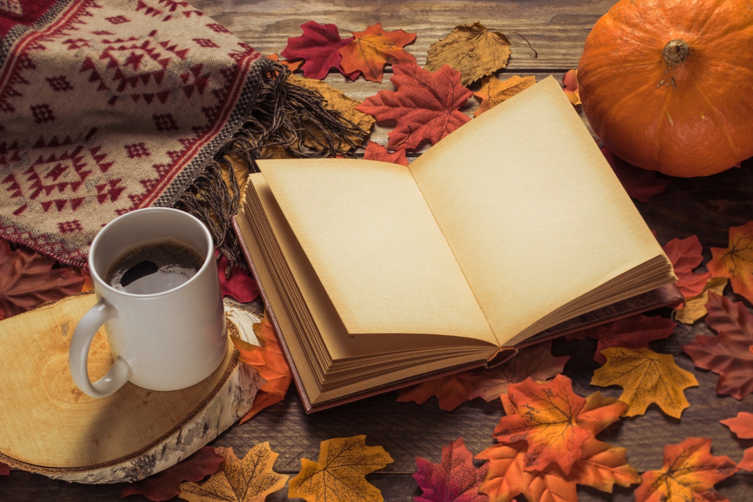 cozy scene with a book, mug and fall leaves