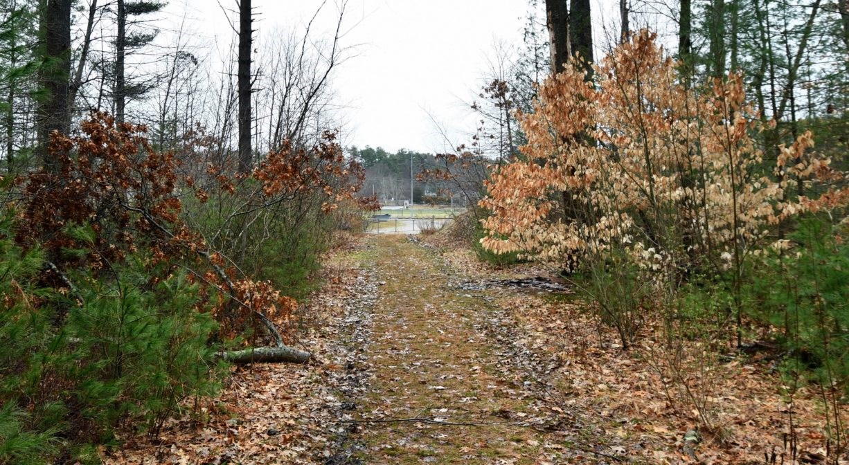 jj shepherd memorial forest