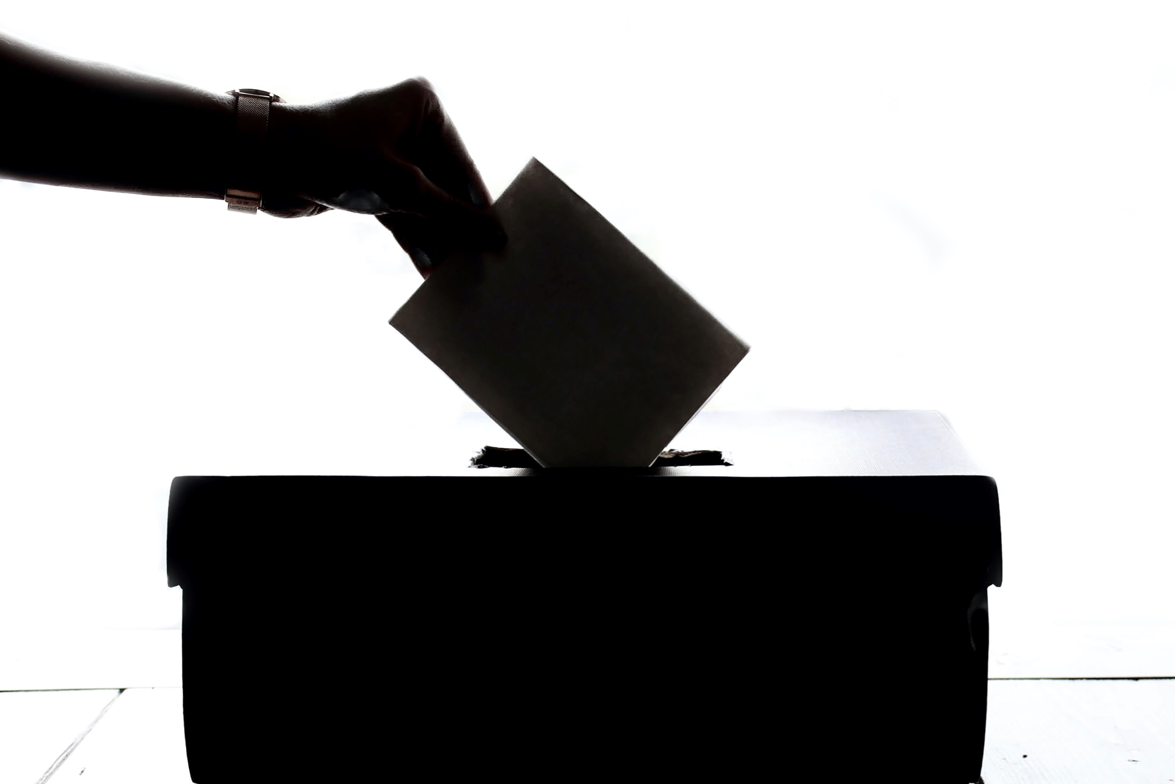 Black and White Image of Person Voting