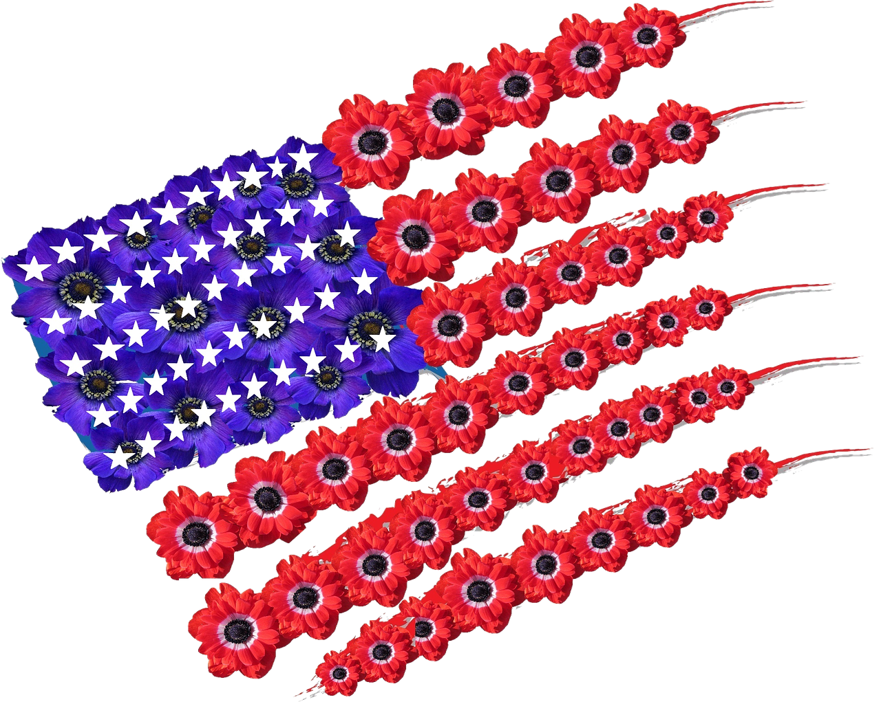 USA American Flag With Poppy Flowers