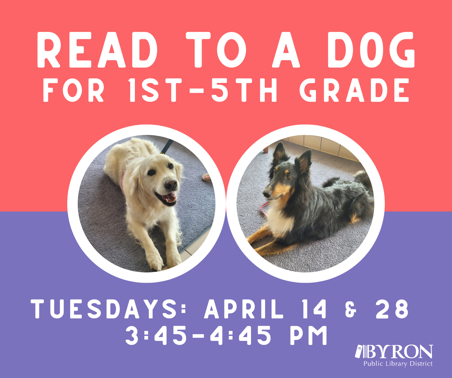 Photo of therapy dogs with Read to a Dog program dates.