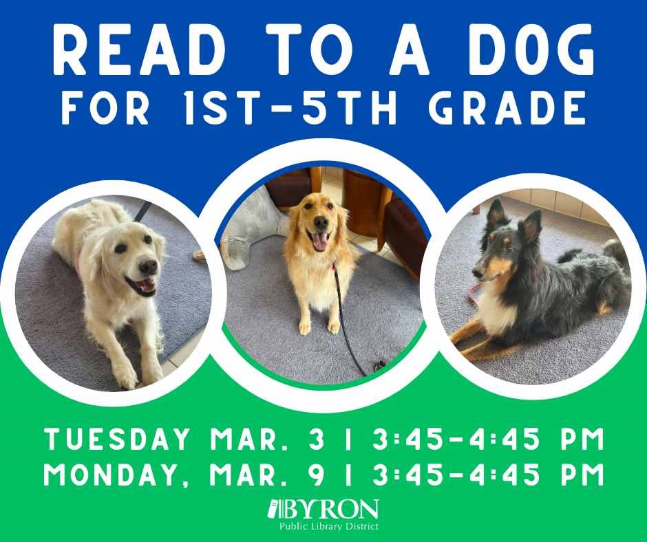 Photo of dogs with program dates & times.