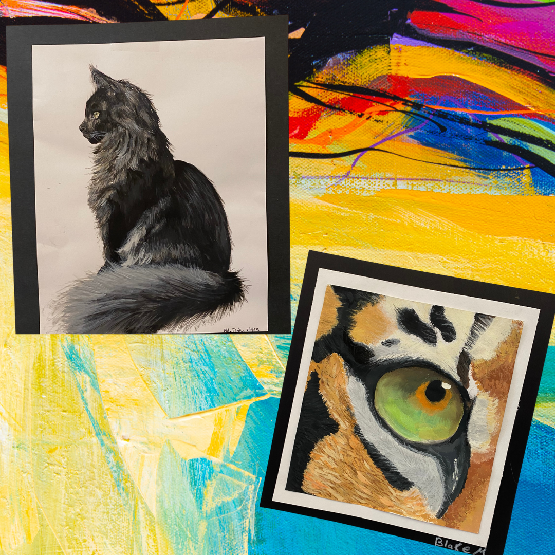 picture of cat and tiger eye