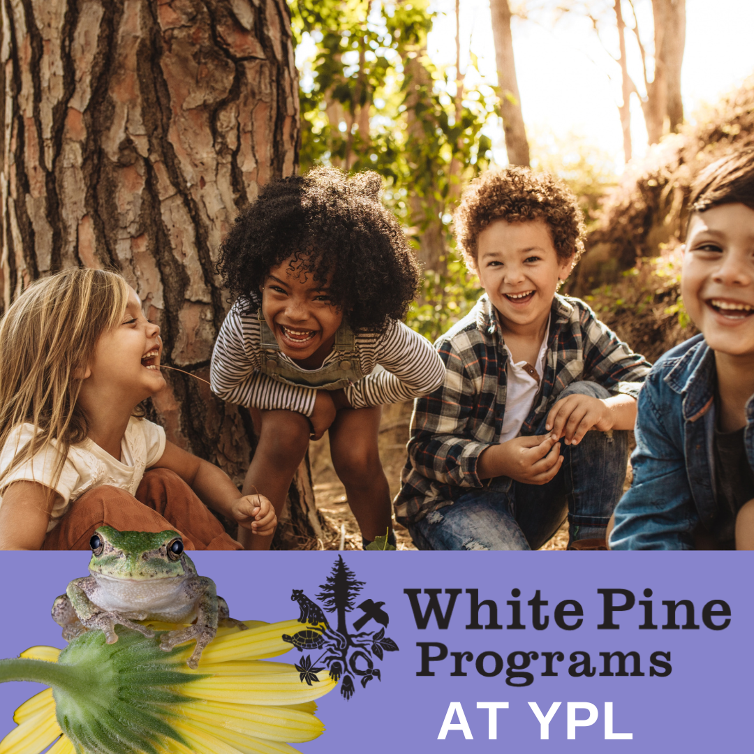 Children are playing in the woods. A banner says White Pine Programs at YPL and there is a small frog sitting on a daisy