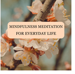 Mindfulness Meditation for Everyday Life 