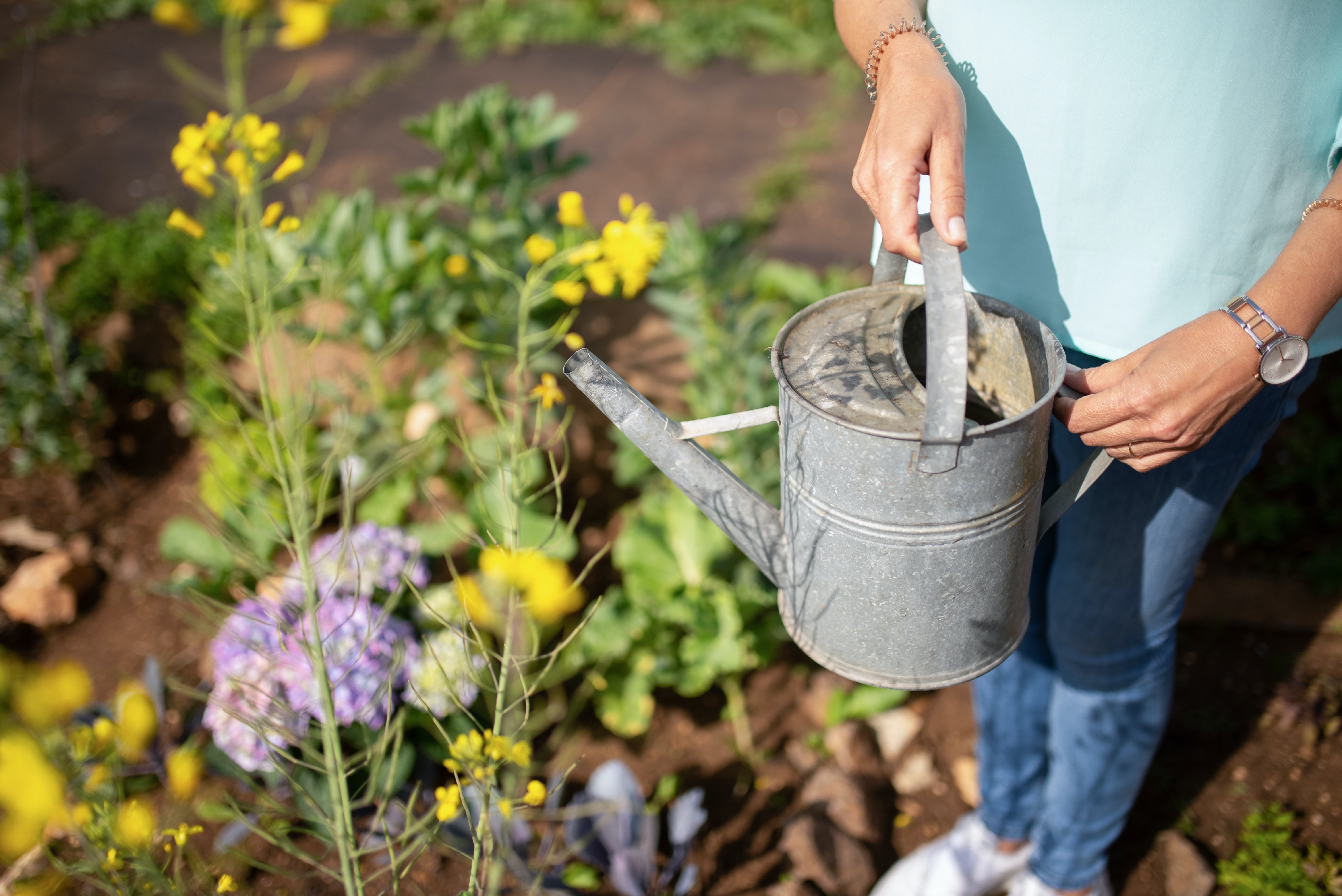 Person Holding a Watering Can