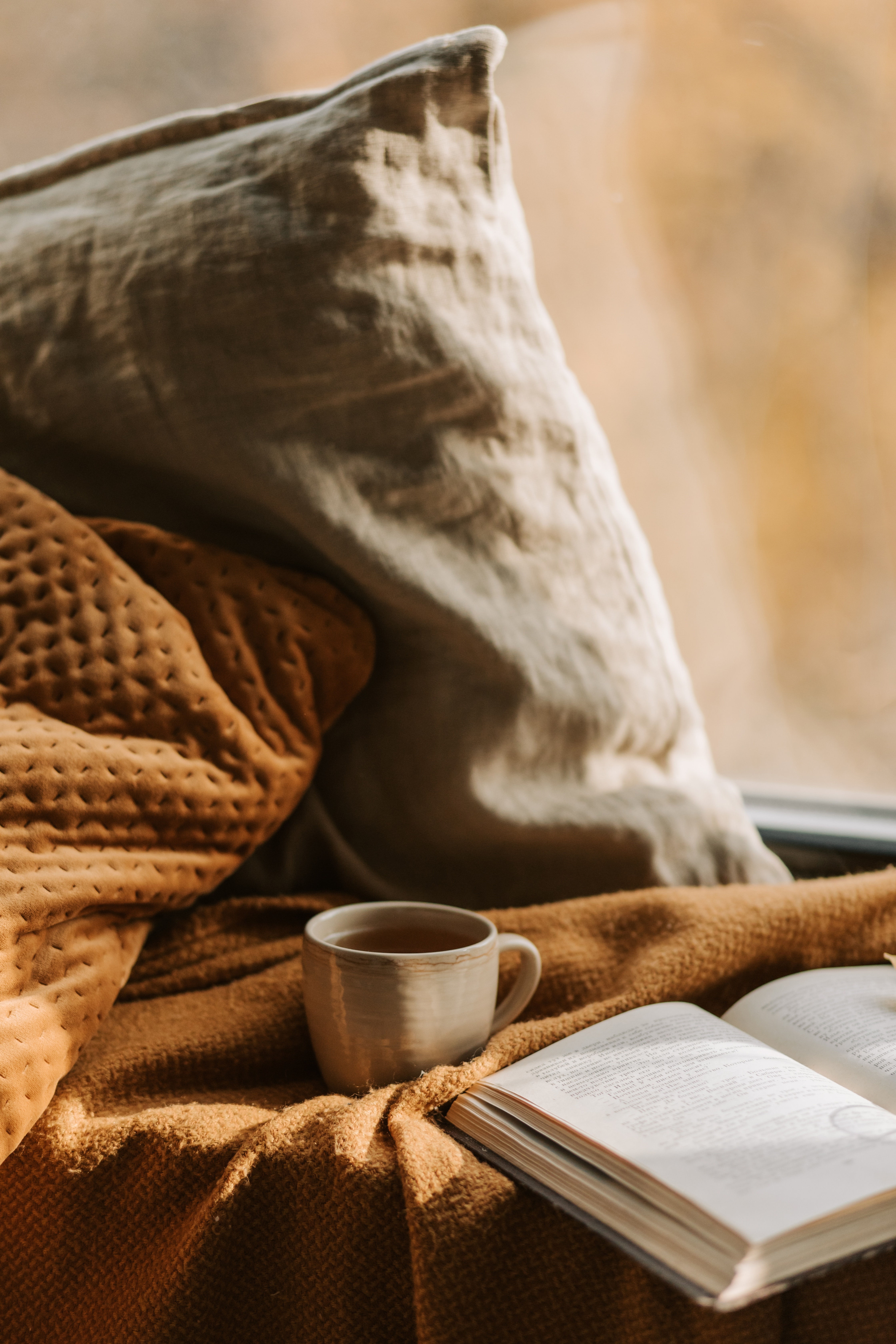 Cozy Fall Reading Spot by a Window