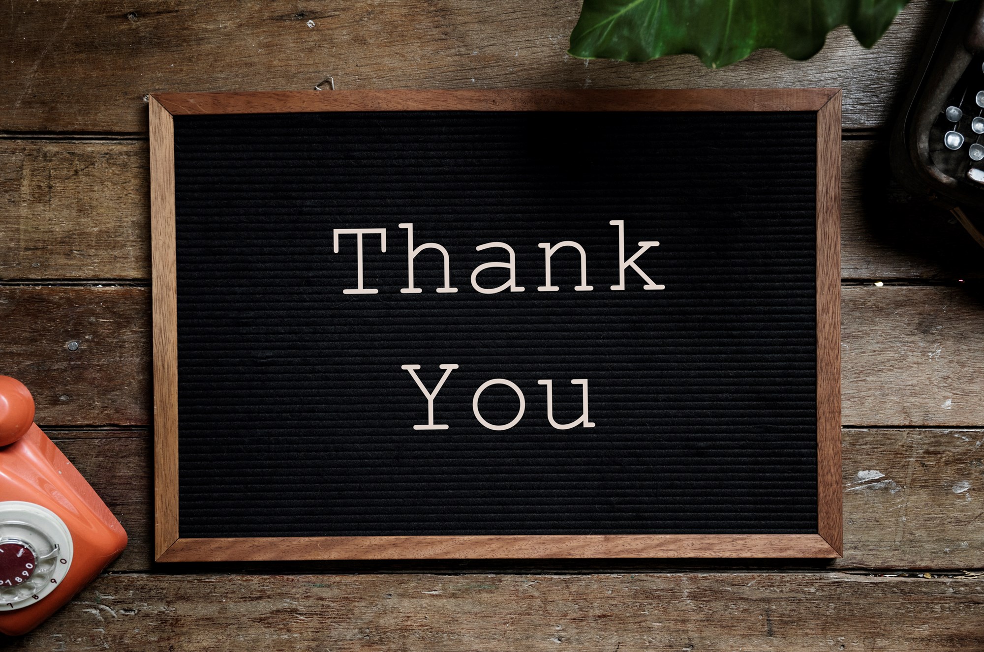 Thank You Message on the Black Wooden Chalkboard