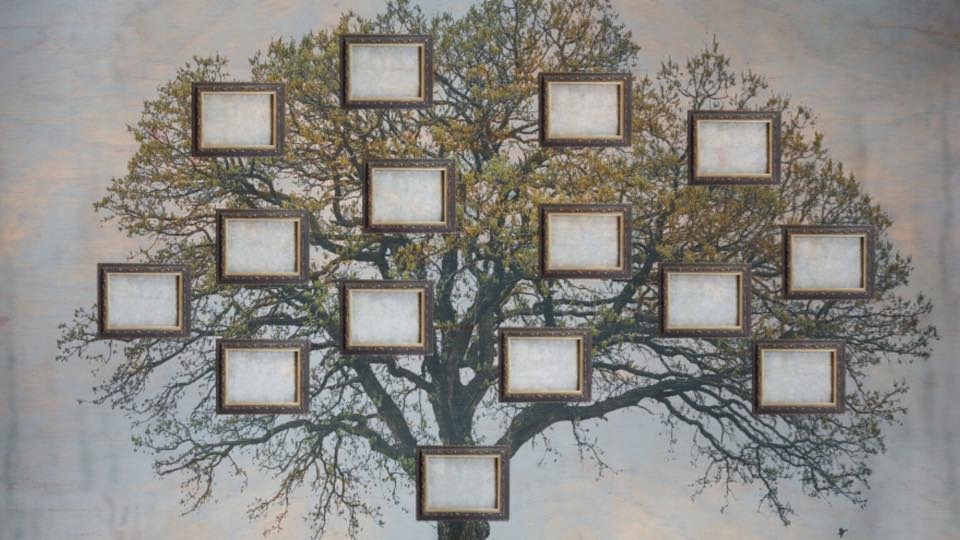 family tree