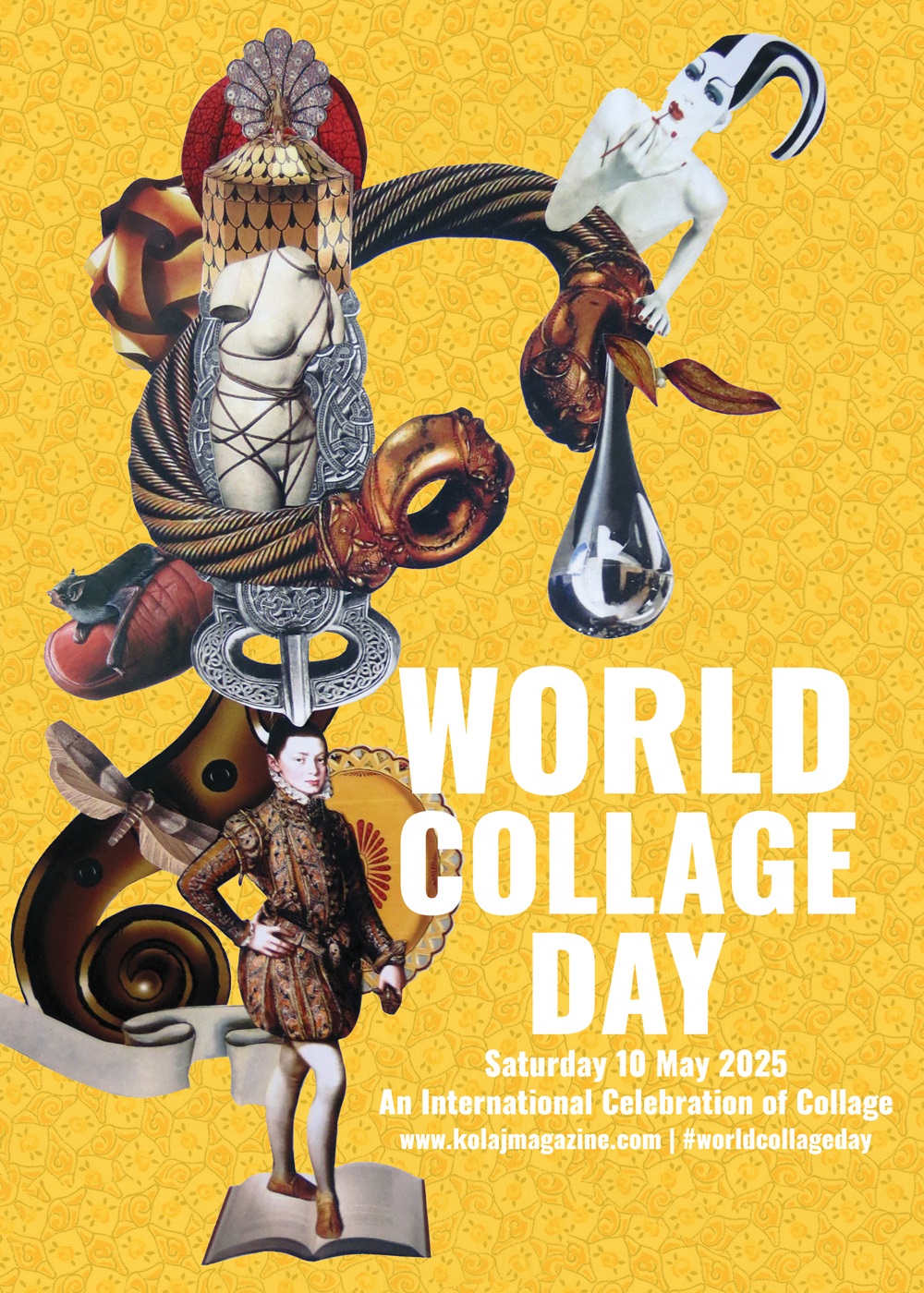 Person Shopping for Books
