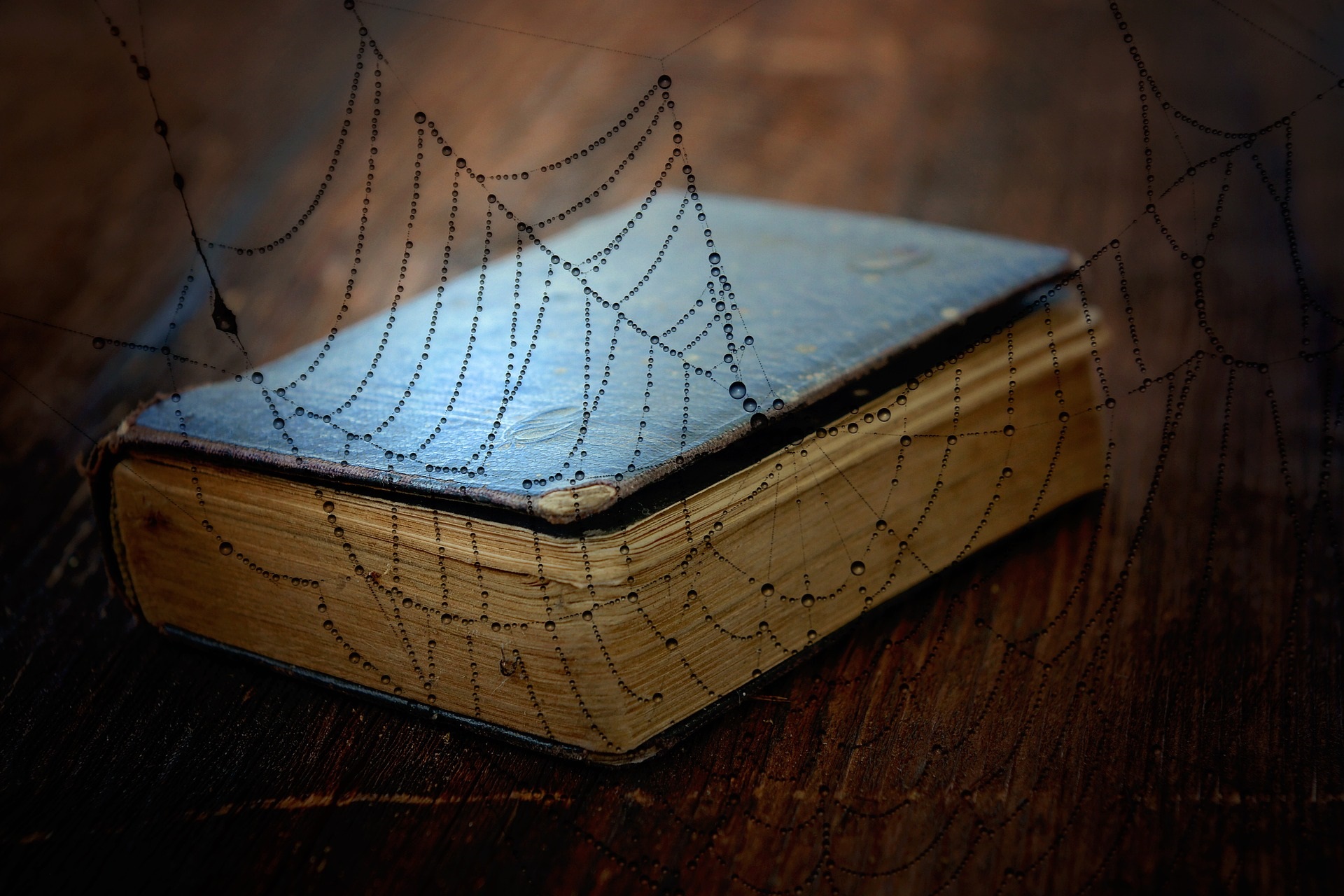 Old Book with Spider Webs