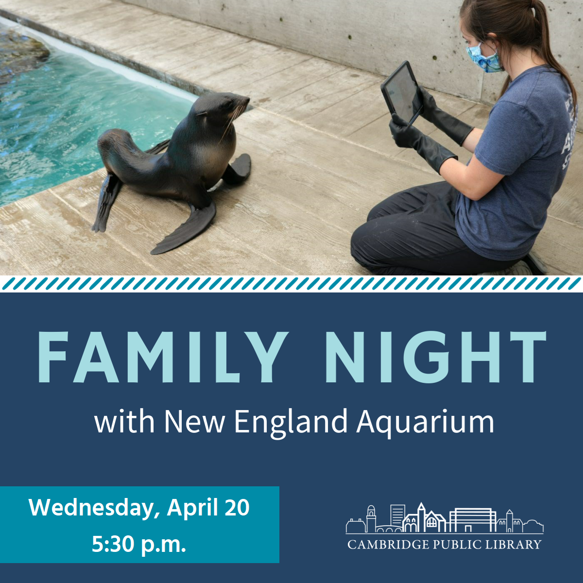 Family Night with the New England Aquarium (Virtual)
