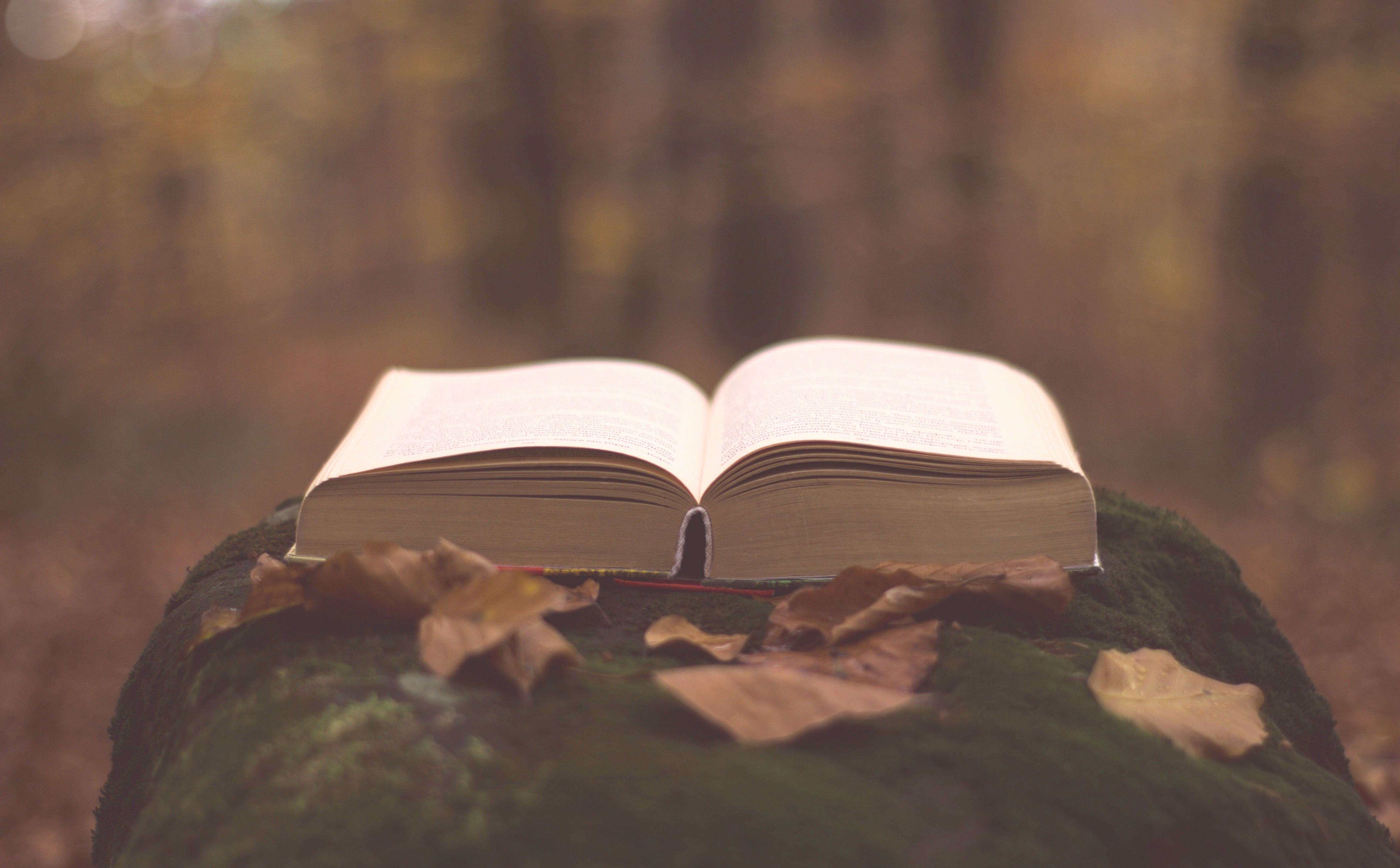 Wintry multicolored mittens on snow.