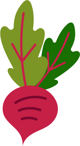 Beet Vegetable with Two Leaves